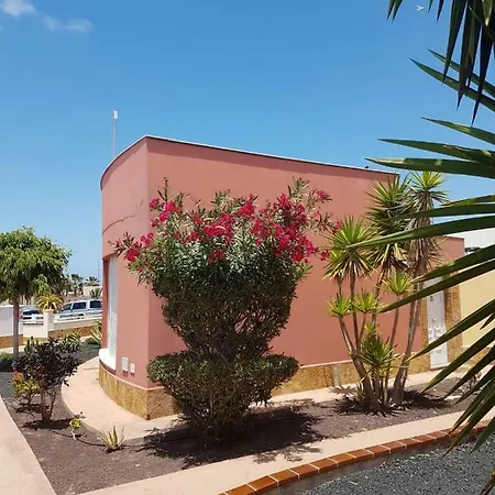 Aloha Willa Corralejo
